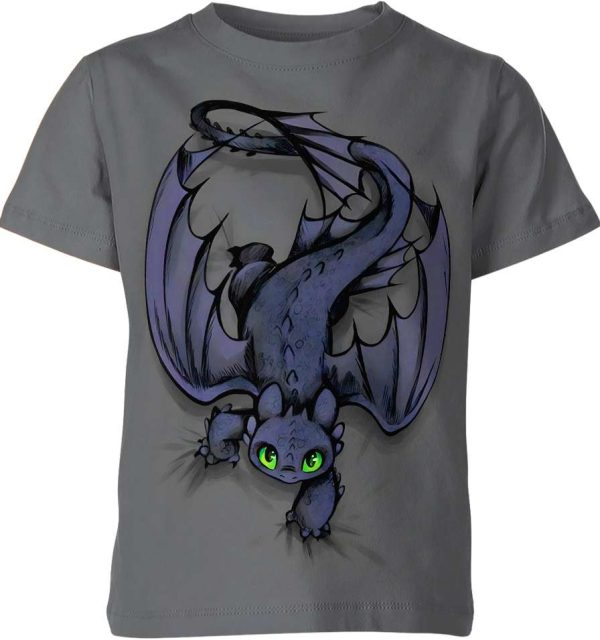 Toothless Night Fury From How To Train Your Dragon Shirt Jezsport.com