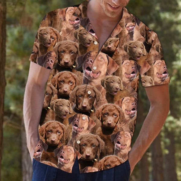 Chesapeake Bay Retriever Awesome D0107 - Hawaii Shirt Jezsport.com