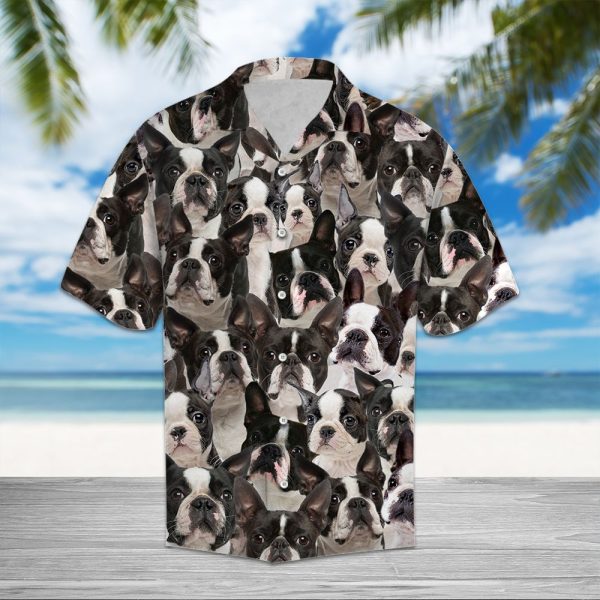 Boston Terrier Awesome D0207 - Hawaii Shirt Jezsport.com