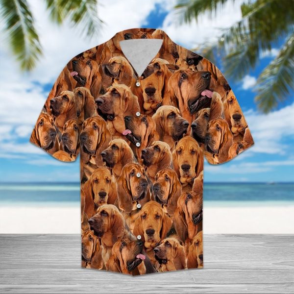 Bloodhound Awesome D0207 - Hawaii Shirt Jezsport.com