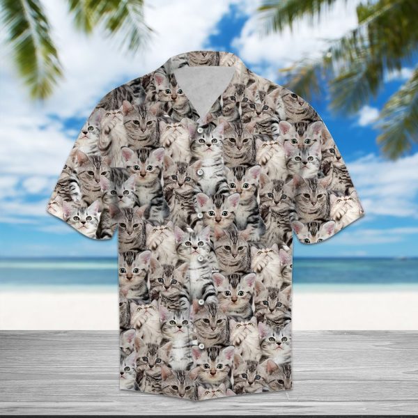 American Shorthair Awesome D0307 - Hawaii Shirt Jezsport.com