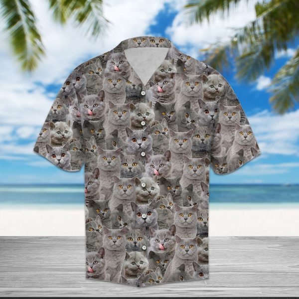 British Shorthair Awesome D0307 - Hawaii Shirt Jezsport.com