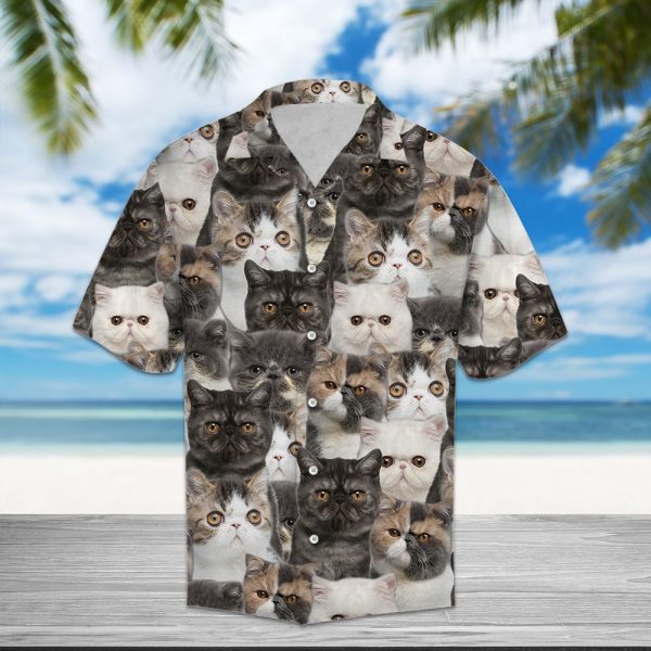 Exotic Shorthair Awesome Hawaii Shirt Jezsport.com