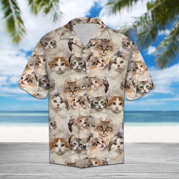 American Curl Awesome D0607 - Hawaii Shirt Jezsport.com