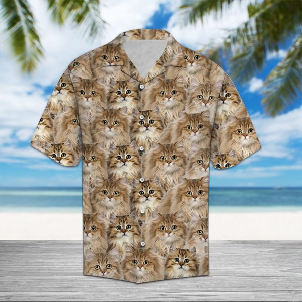 British Longhair Awesome D0607 - Hawaii Shirt Jezsport.com