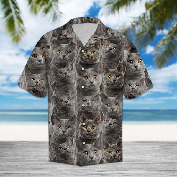 Chartreux Awesome D0607 - Hawaii Shirt Jezsport.com