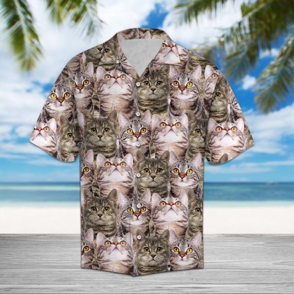 European Shorthair Awesome Hawaii Shirt Jezsport.com