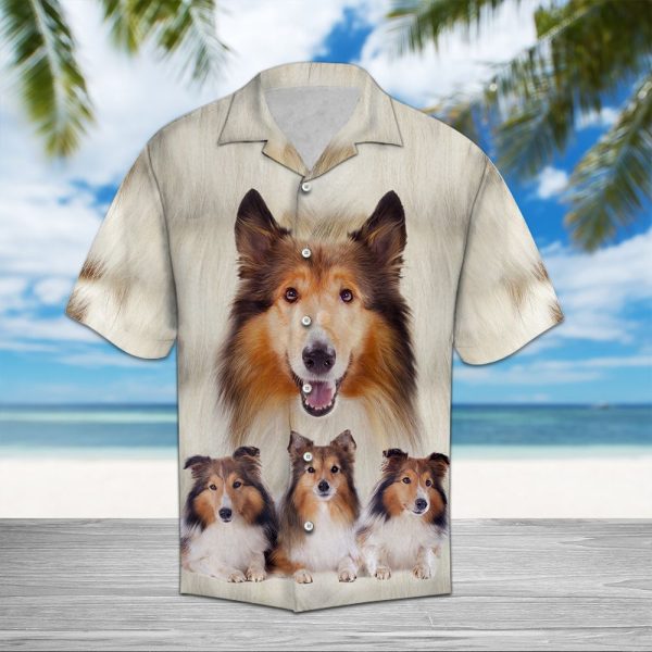 Collie Great Hawaii Shirt Jezsport.com