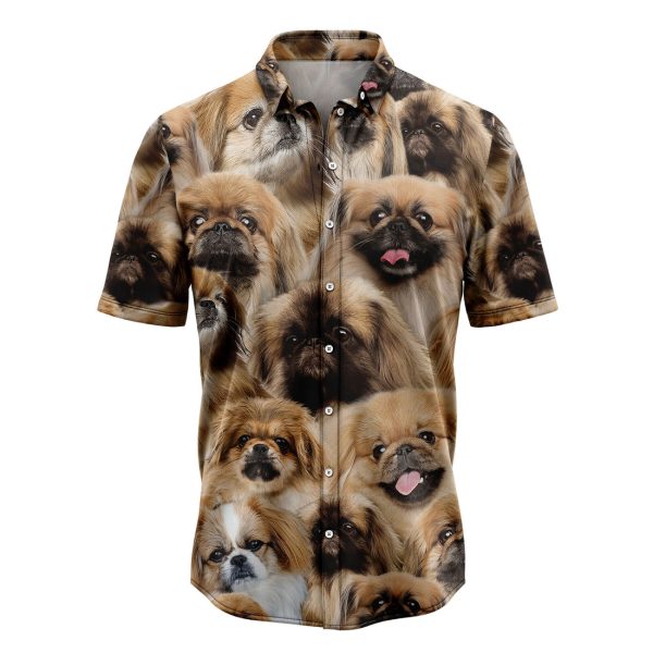 Pekingese Awesome Hawaiian Shirt Summer Shirt For Men and Women Jezsport.com