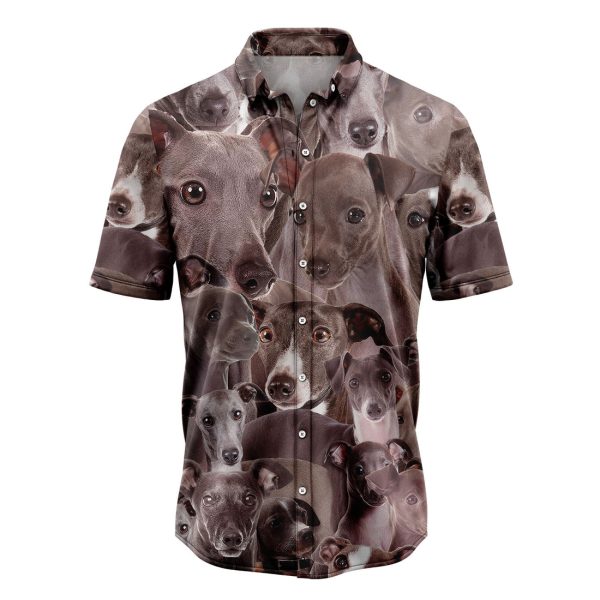 Italian Greyhound Awesome Hawaiian Shirt Summer Shirt For Men and Women Jezsport.com