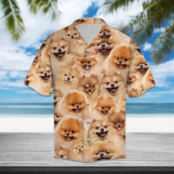 Pomeranian Awesome Hawaii Shirt Summer Shirt For Men and Women Jezsport.com