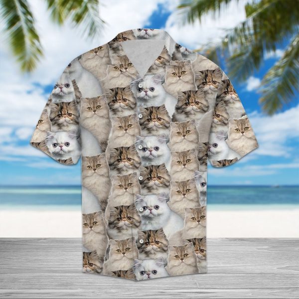 Persian Cat Awesome Hawaii Shirt Summer Shirt For Men and Women Jezsport.com