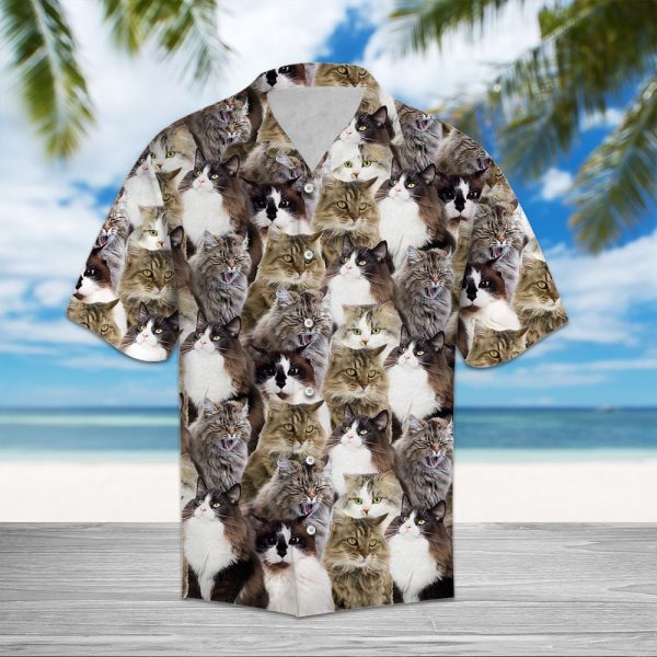 Ragamuffin Awesome Hawaii Shirt Summer Shirt For Men and Women Jezsport.com