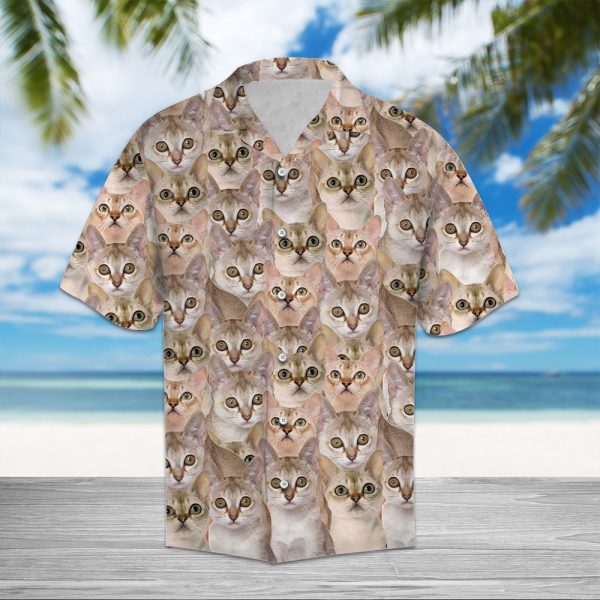 Singapura Awesome Hawaii Shirt Summer Shirt For Men and Women Jezsport.com