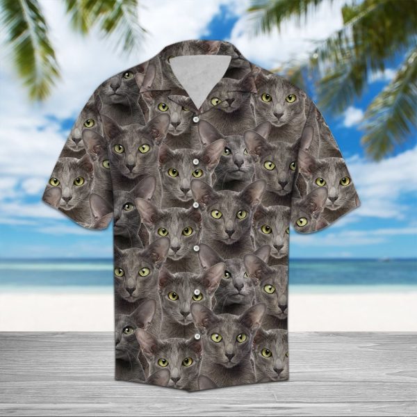 Oriental Shorthair Awesome Hawaii Shirt, Summer Shirt For Men and Women Jezsport.com