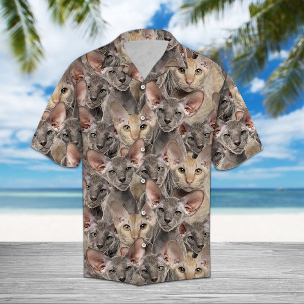 Peterbald Awesome Hawaii Shirt Summer Shirt For Men and Women Jezsport.com