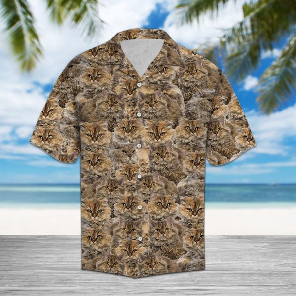 Selkirk Rex Awesome Hawaii Shirt Summer Shirt For Men and Women Jezsport.com