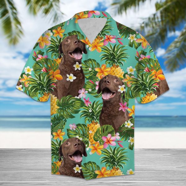 Tropical Pineapple Chesapeake Bay Retriever Hawaii Shirt Summer Shirt For Men and Women Jezsport.com