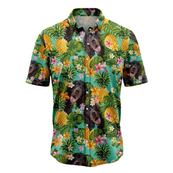 Tropical Pineapple Gordon Setter Hawaiian Shirt, Summer Shirt For Men and Women Jezsport.com