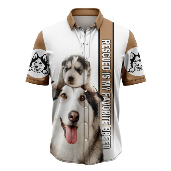 Siberian Husky Is My Favorite Breed Hawaiian Shirt, Summer Shirt For Men and Women Jezsport.com