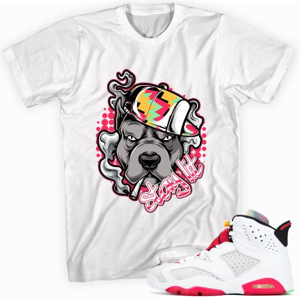 Stay Lit T-shirt Made To Match Jordan 6 Retro Jezsport.com