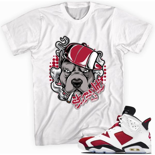 Stay Lit Custom Made to Match Shirt for Jordan 6 Retro Carmine 2021 Jezsport.com