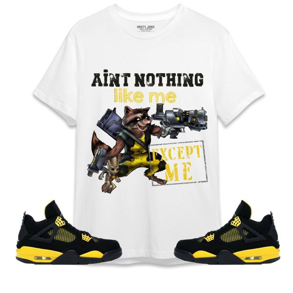 Nothing Like Me Than Me Unisex Shirt Match Jordan 4 Thunder Jezsport.com