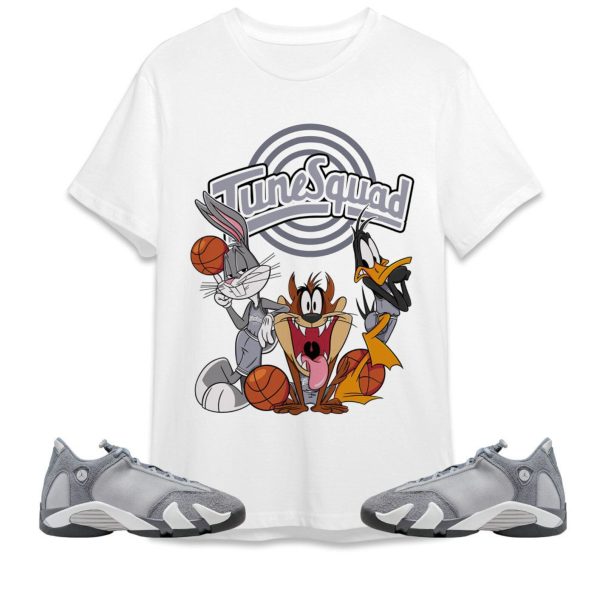 Tune Friends Unisex Tees Jordan 14 Stealth to match Sneaker, Outfit back to school graphic Tees Jezsport.com