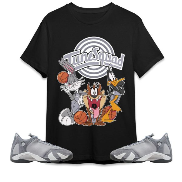 Tune Friends Unisex Tees Jordan 14 Stealth to match Sneaker, Outfit back to school graphic Tees Jezsport.com