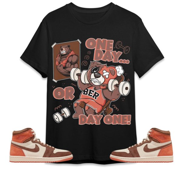 BER Gymmer Unisex Tees Jordan 1 High OG Dusted Clay to match Sneaker, Outfit For Work Cute Gymmer match Jordan Hoodie Jezsport.com