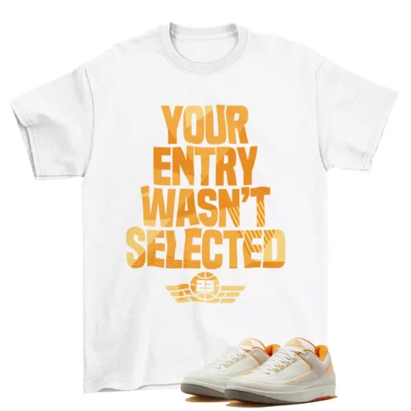 Sneaker Raffle Shirt to Match Jordan 2 Retro Low Craft Melon Tint DV9956-118 Jezsport.com