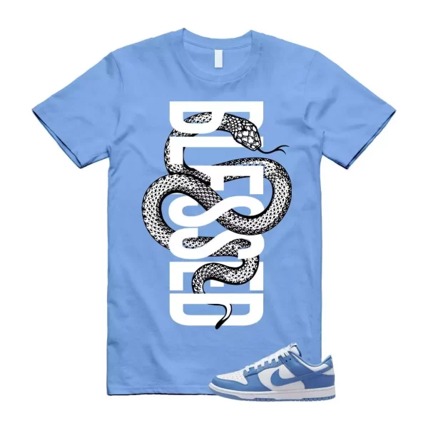 Dunk Polar Blue White Winter Low T Shirt Match SNAKEBLS Jezsport.com