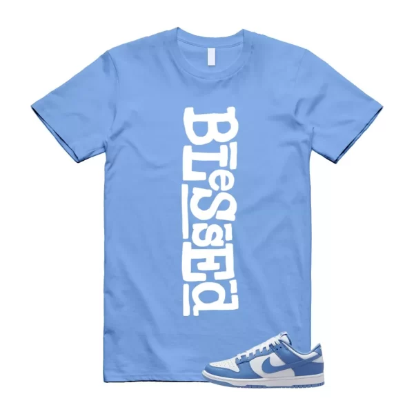 Dunk Polar Blue White Winter Low T Shirt Match B2 Jezsport.com