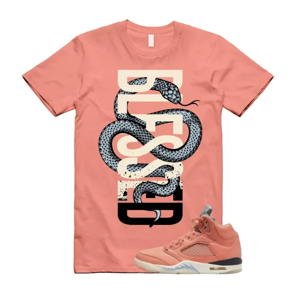 Crimson Bliss 5 DJ Khaled Leche Blue Sail We The Best Retro T Shirt Match SNAKEB Jezsport.com