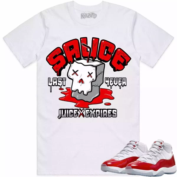 Jordan 11 Cherry 11s Shirt to Match - RED SAUCE Jezsport.com