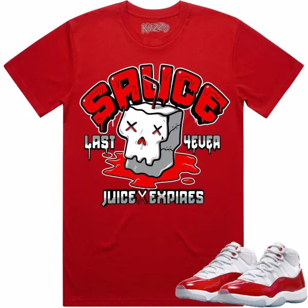 Jordan 11 Cherry 11s Shirt to Match - RED SAUCE Jezsport.com