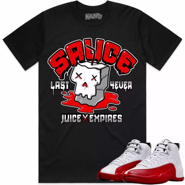 Jordan 12 Cherry 12s Shirt to Match - RED SAUCE Jezsport.com