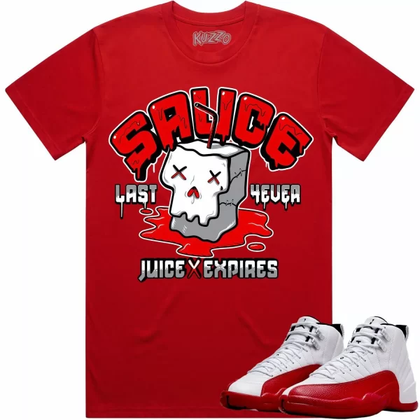 Jordan 12 Cherry 12s Shirt to Match - RED SAUCE Jezsport.com