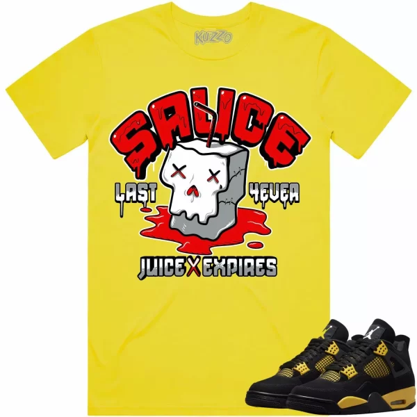 Jordan 4 Thunder 4s Shirt to Match - RED SAUCE Jezsport.com