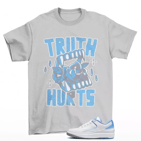 Truth Shirt Grey to Match Jordan 2 Retro Low UNC DV9956-104 Jezsport.com