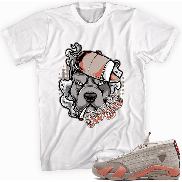 Stay Lit Sneaker Shirt Made To Match Jordan 14 Retro Jezsport.com