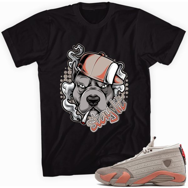 Stay Lit Sneaker Shirt Made To Match Jordan 14 Retro Jezsport.com