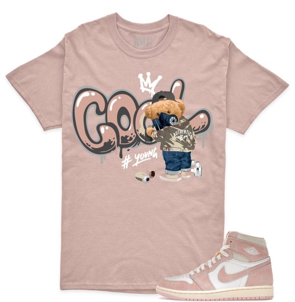 Jordan 1 OG Washed Pink Matching Shirts, Cool Bear Matching High OG Washed Pink Jezsport.com