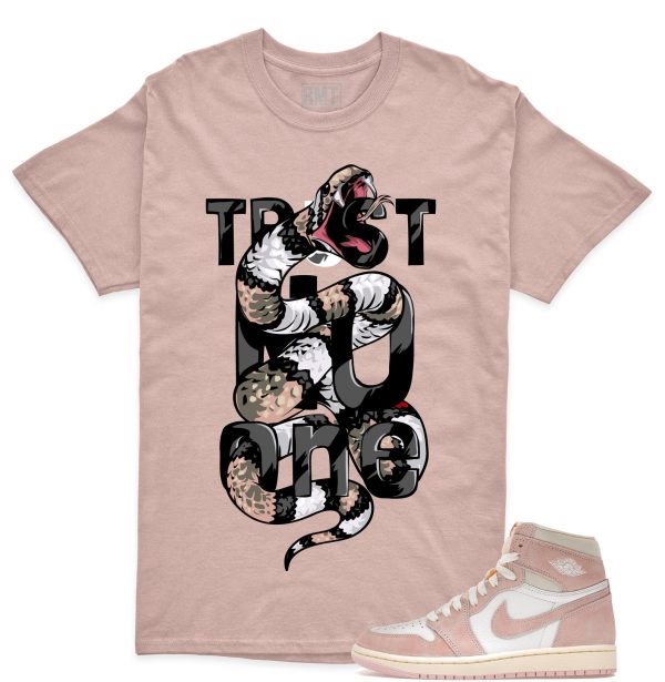 Jordan 1 OG Washed Pink Matching Shirts, Trust No One Matching High OG Washed Pink Jezsport.com