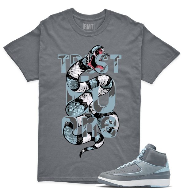 Jordan 2 Cool Grey Matching Shirts, Trust No One shirt to go with Jordan 2 Cool Grey Jezsport.com