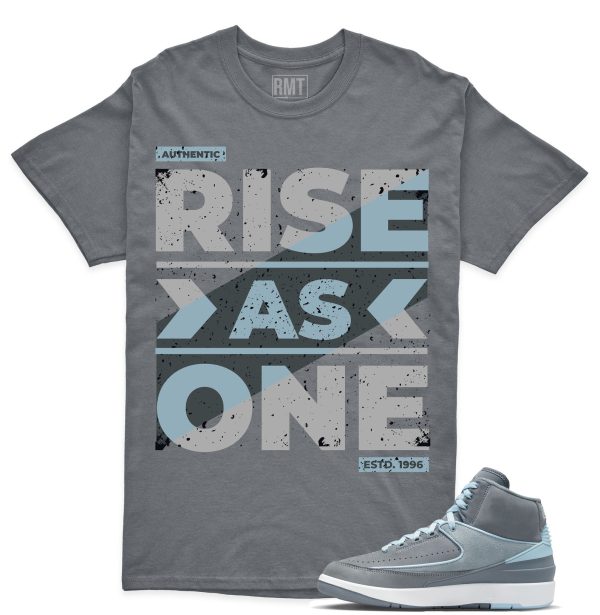 Jordan 2 Cool Grey Matching Shirts, Rise As One shirt to go with Jordan 2 Cool Grey Jezsport.com