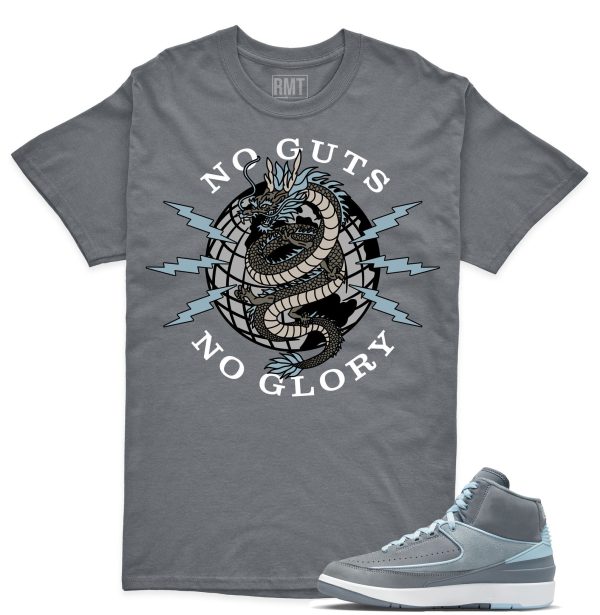 Jordan 2 Cool Grey Matching Shirts, No Guts shirt to go with Jordan 2 Cool Grey Jezsport.com