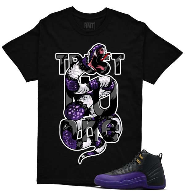 Field Purple 12s Matching shirts, Trust No One Shirt Matching Jordan 12 Field Purple Jezsport.com