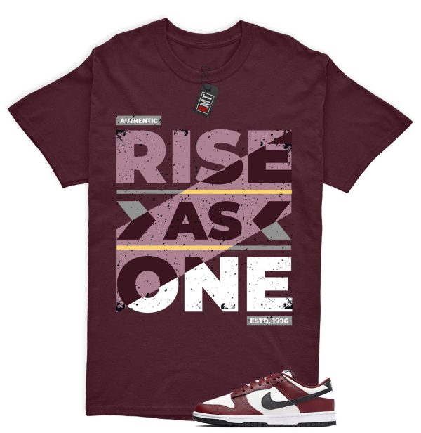 Dunk Dark Team Red Black Low Summit White Match T-shirt "Rise As One" Jezsport.com