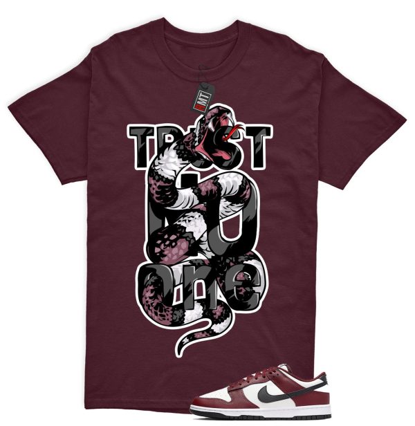 Dunk Dark Team Red Black Low Summit White Match T-shirt "Trust No One" Jezsport.com